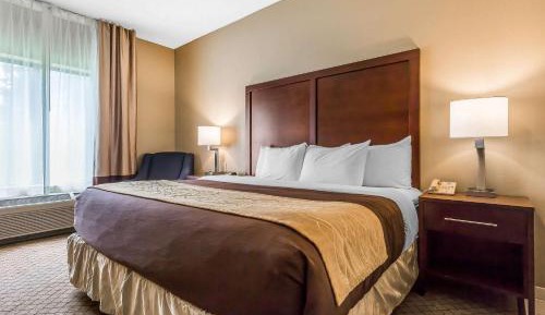 King Room with Roll-In Shower - Mobility Accessible/Non Smoking