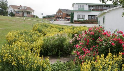 Deluxe Double Room with Two Double Beds - No pets allowed