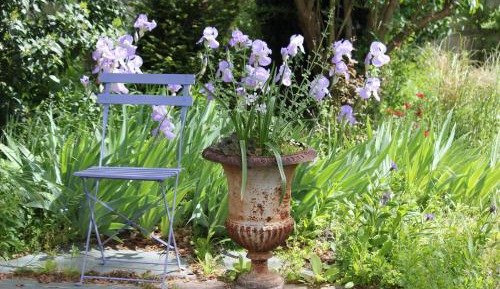 Suite with Garden View