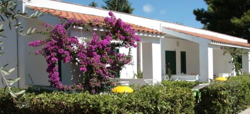 Two-Bedroom Apartment (3 Adults)