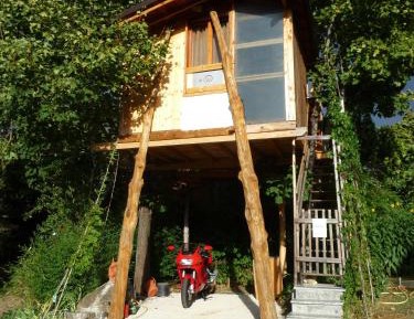 Tree House