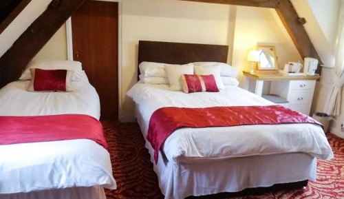 Family/Twin Room (2 Adults, 1 Child)