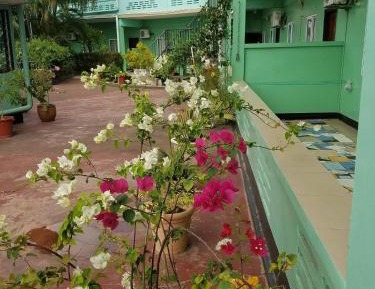 Apartment - Ground Floor