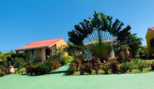 Studio with Pool View