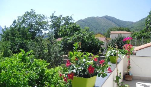 Apartment with Garden View