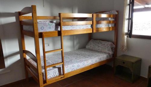 Bed in 6-Bed Dormitory Room