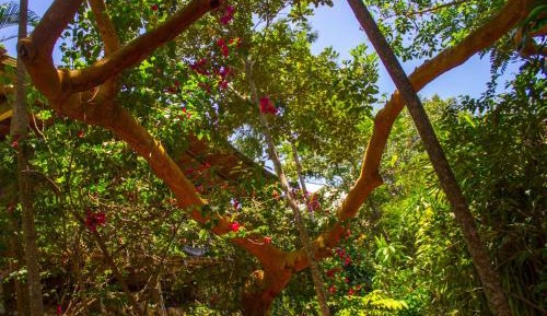 Two-Bedroom Bungalow