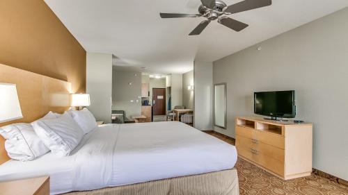 Standard King Room with Sofa Bed - Non-Smoking