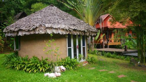 Mud House