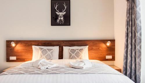 Superior Family Room