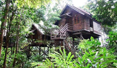 Classic Treehouse Queen