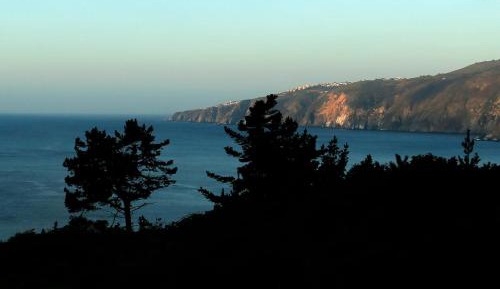 Three-Bedroom Standard Apartment