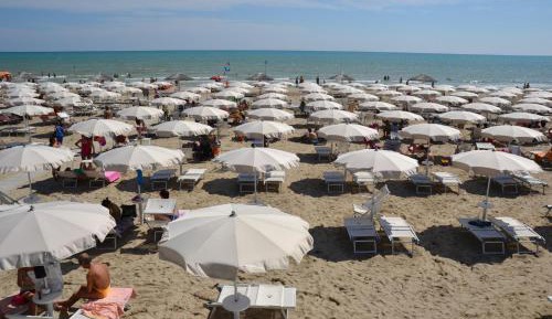 Superior One-Bedroom Apartment