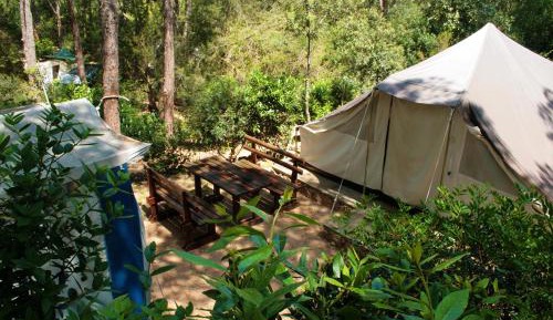 Tent