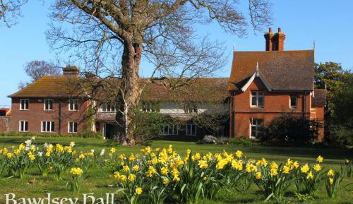 King Room with Garden View