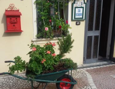 Apartment with Garden View