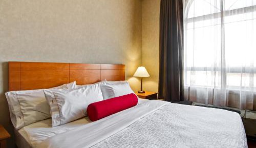 Deluxe King Suite with Sofa Bed