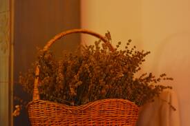 Don Bed & Breakfast | b&b Claudia - bed and breakfast in Val di Non