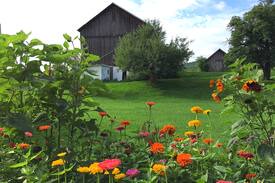 Dryden Other | Maryhill Farm - Flexible! Large private wing.