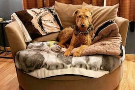 Twisp Bed & Breakfast | Paws Awhile For Pets and Their People