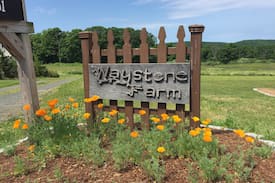 Guilford House | Stay in a Tiny House on our Sustainable Farm!