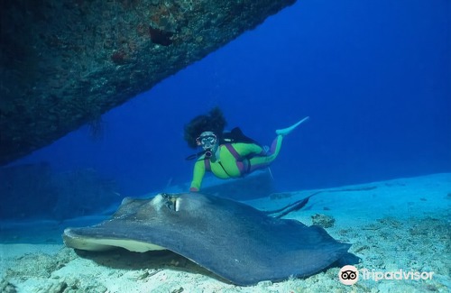 Alice Town Hotel | Bimini Big Game Club Resort & Marina