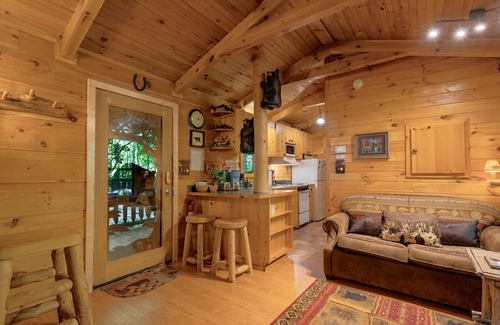 Gatlinburg - Pigeon Forge Cabin | Cozy Bear 1 Bedroom Cabin