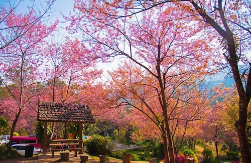 Mae Rim Villa | Baan La Ong Fah 2-Mon Jam