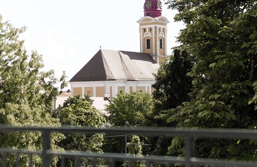 Baia Mare Apartment | Nest Inn Boucle Apartment
