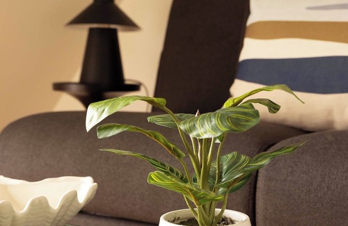 Bonne-Nouvelle Apartment | Charming Studio A/C - 2P- Montorgueil