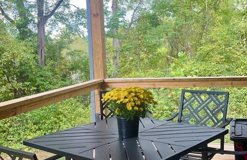 Damascus Cabin | NEW! Forty Winks 6 guest Modern Cabin in Damascus, VA!