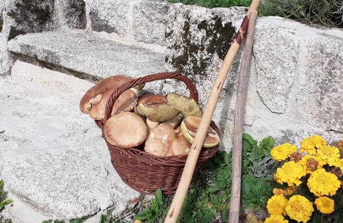 Saint-Saury Cottage | Gite Saint-Saury, 3 bedrooms, 5 persons