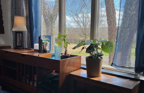 Charlottesville Cottage | Wine Country Cottage in charming Charlottesville /Ivy VA - WiFi AC Pets Welcome