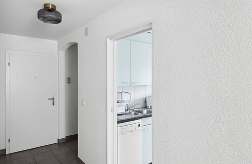Wiedikon Apartment | Your Ideal 1-Bedroom Sanctuary in Zurich!