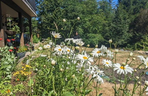 Otter Point House | A serene place by the lake.