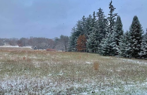 Wautoma Other | Quaint 150 yr old farmhouse on 5 acres. Close to Nordic Mountain Ski Resort.