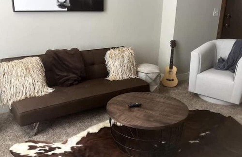 Downtown Fort Worth Apartment | Cowtown 1 bedroom in Downtown FT Worth