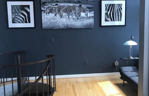 Canton Condo | Luxury Baltimore Escape