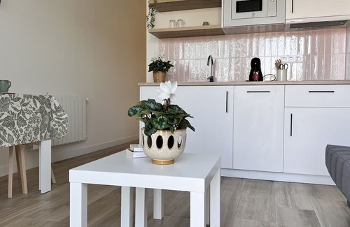 Soto de la Marina Apartment | Apartment-Ensuite with Shower-Terrace