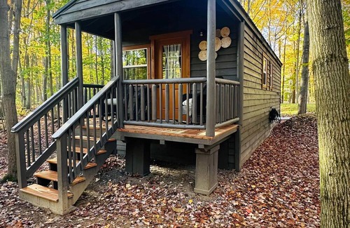 Birch Run Township House | Unit 3 Lodge Cabin (no pets allowed)