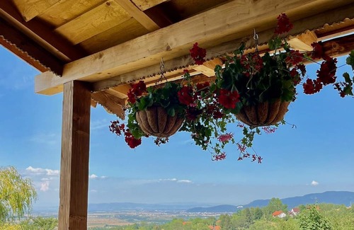 Bran House | Charming 2-bedroom house in brilliant Bran with WiFi