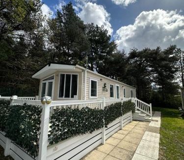 Ringwood Other | Ozbourne