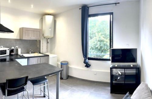 Saint-Etienne Apartment | Le Parc Giron 3