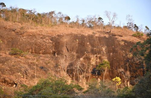 Floresta House | Tiny House Florestinha