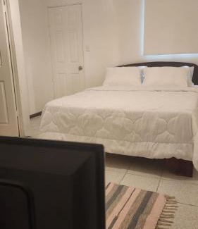 Talca Hotel | URANUS