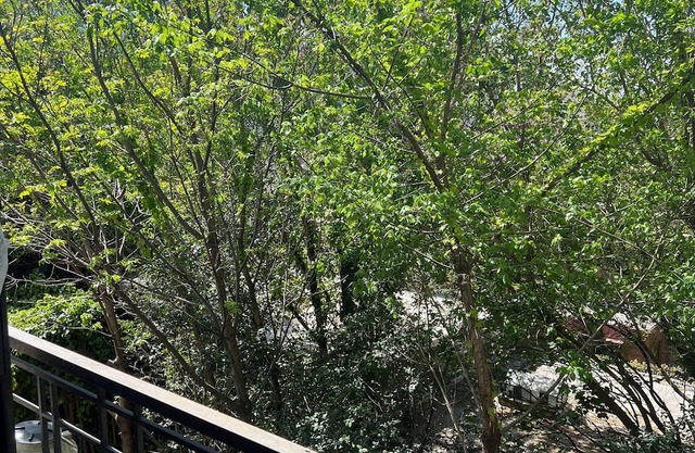 Luxury Apartment in Palermo Hollywood