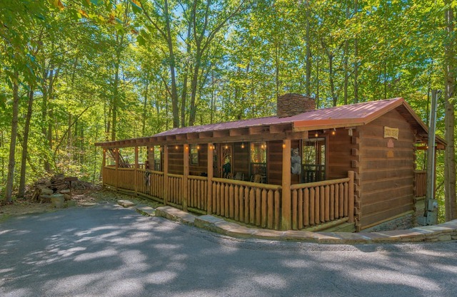 Cozy Bear 1 Bedroom Cabin