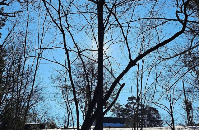 Charming 2-bedroom cabin only a few minutes from downtown Roanoke attractions.