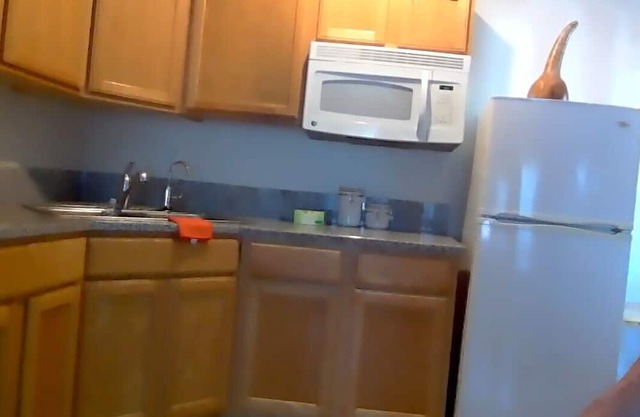 Cozy 1-bedroom, 1 Bath Apartment. Private Entrance. Off Street Parking: