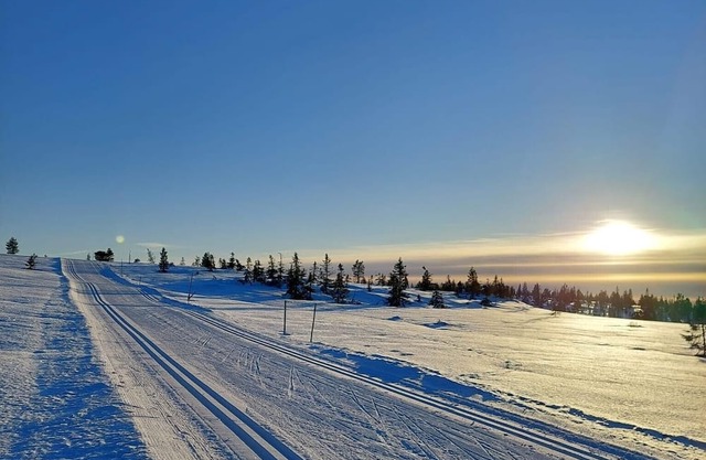 Cosy 3-bedroom cabin with WiFi in Innlandet.